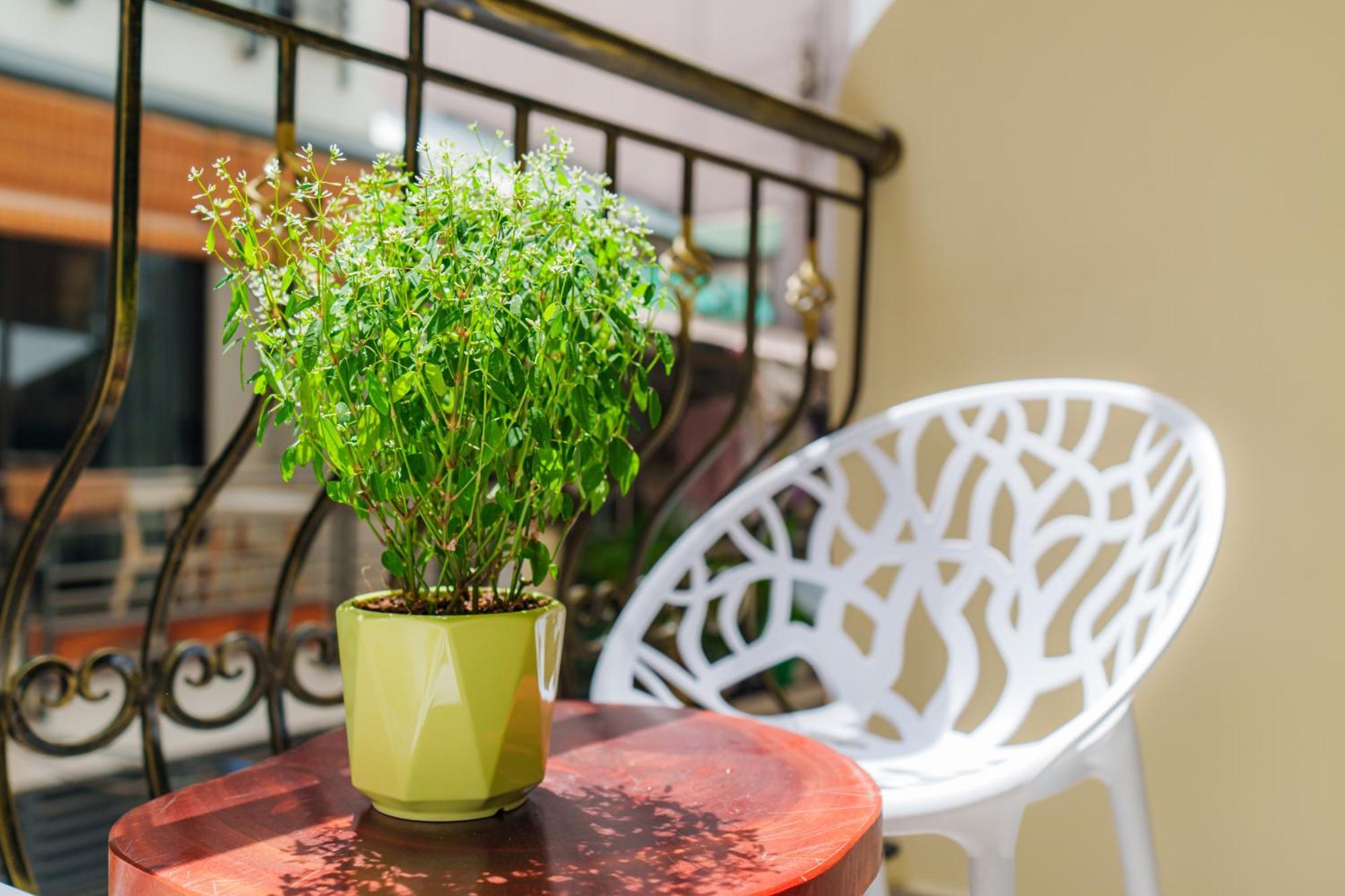 Co Chau Homestay Ho-Chi-Minh-Stadt Exterior foto